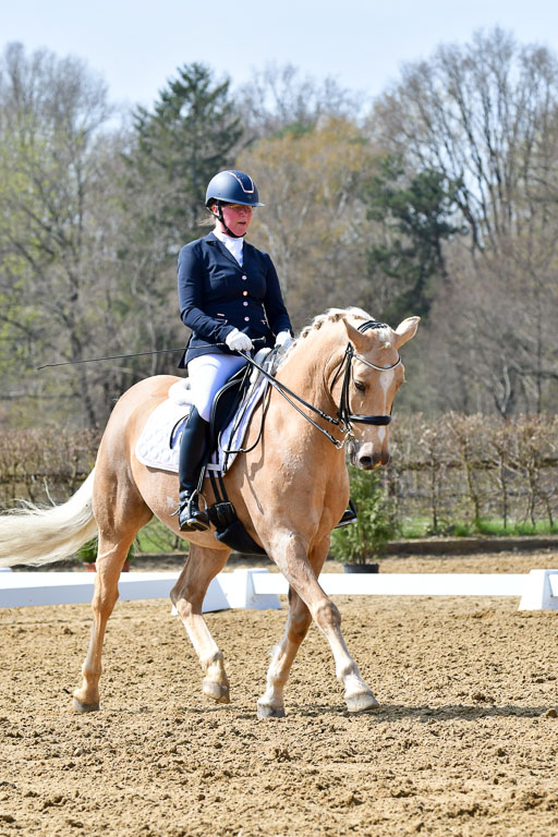 Reitsportzentrum Bremervörde | 170421 Dressur M+ _010 