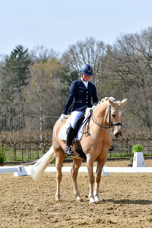 Reitsportzentrum Bremervörde | 170421 Dressur M+ _011 