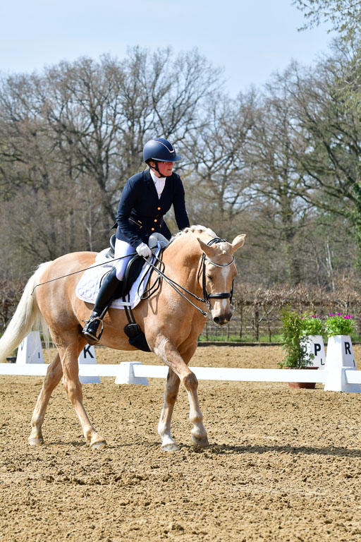 Reitsportzentrum Bremervörde | 170421 Dressur M+ _012 