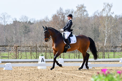 Reitsportzentrum Bremervörde | 170421 Dressur M+ _013 