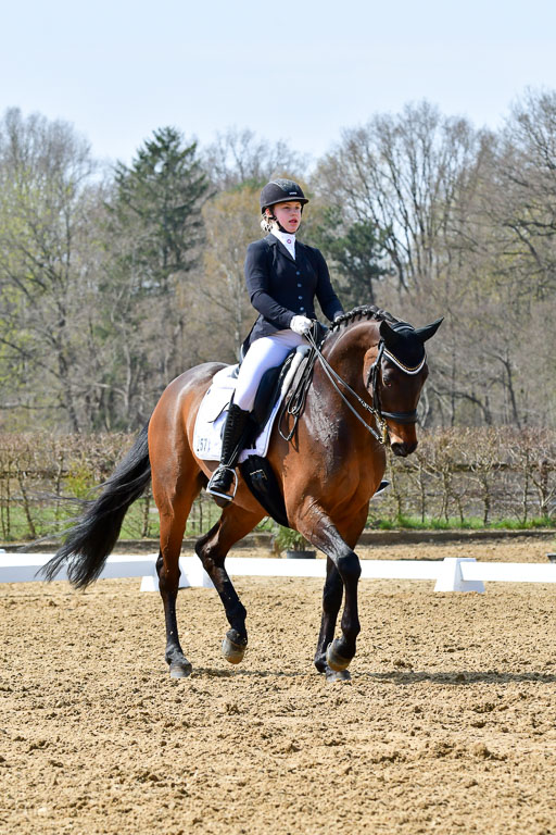 Reitsportzentrum Bremervörde | 170421 Dressur M+ _015 