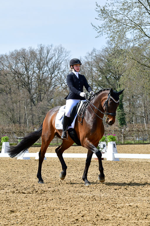 Reitsportzentrum Bremervörde | 170421 Dressur M+ _017 
