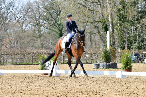 Reitsportzentrum Bremervörde | 170421 Dressur M+ _018 