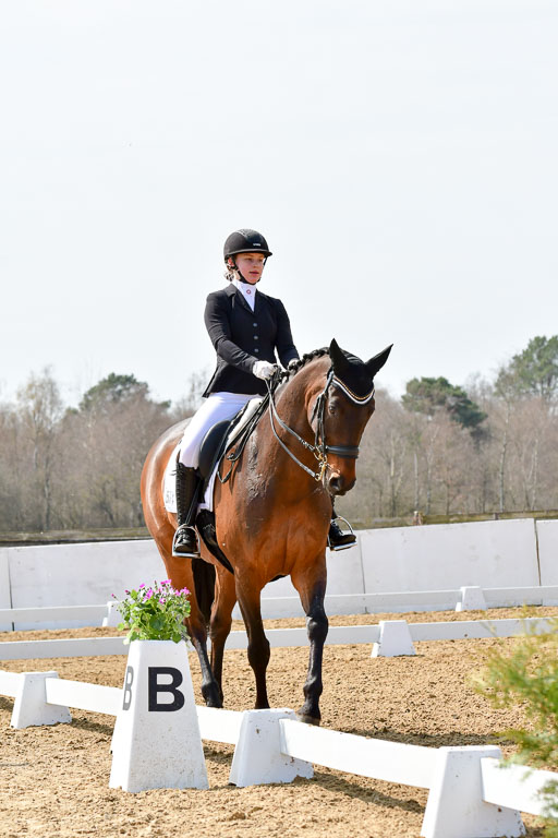 Reitsportzentrum Bremervörde | 170421 Dressur M+ _020 