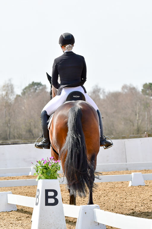Reitsportzentrum Bremervörde | 170421 Dressur M+ _024 