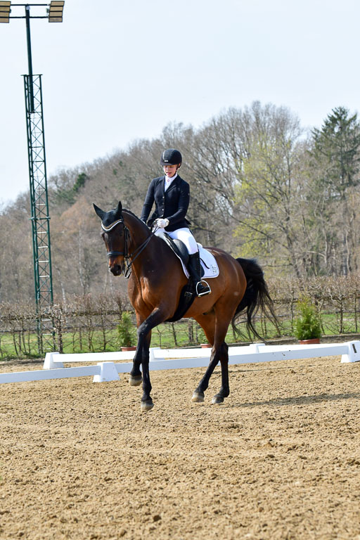 Reitsportzentrum Bremervörde | 170421 Dressur M+ _025 