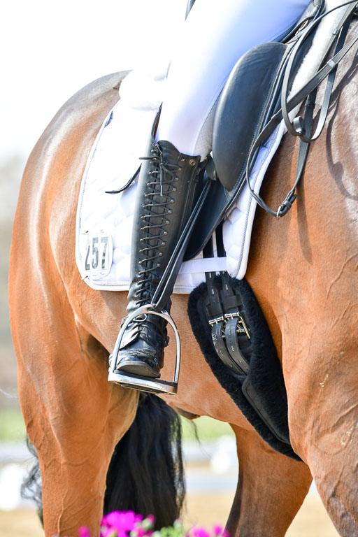 Reitsportzentrum Bremervörde | 170421 Dressur M+ _026 