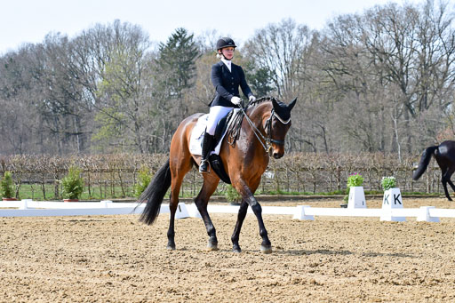 Reitsportzentrum Bremervörde | 170421 Dressur M+ _027 