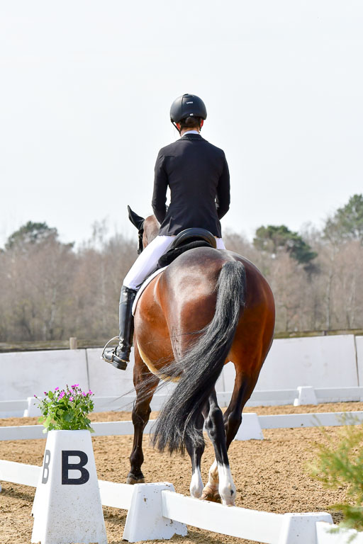 Reitsportzentrum Bremervörde | 170421 Dressur M+ _028 
