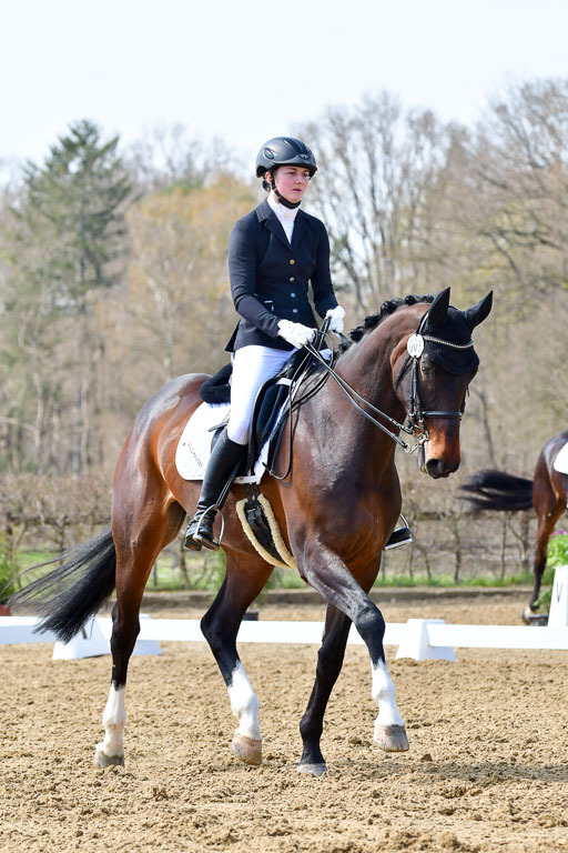 Reitsportzentrum Bremervörde | 170421 Dressur M+ _030 