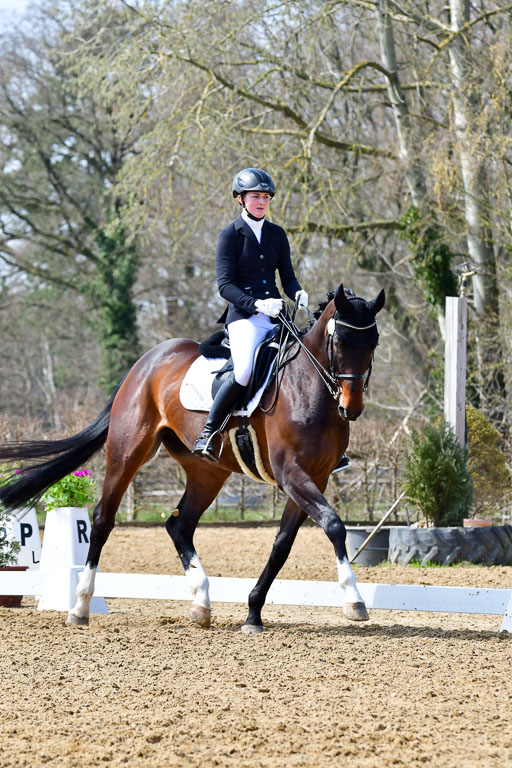 Reitsportzentrum Bremervörde | 170421 Dressur M+ _032 