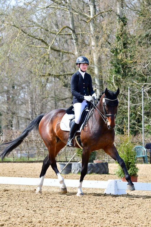 Reitsportzentrum Bremervörde | 170421 Dressur M+ _033 