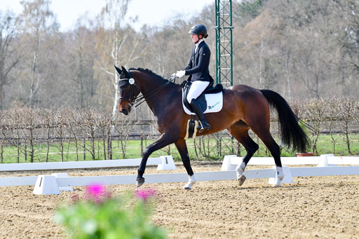 Reitsportzentrum Bremervörde | 170421 Dressur M+ _034 