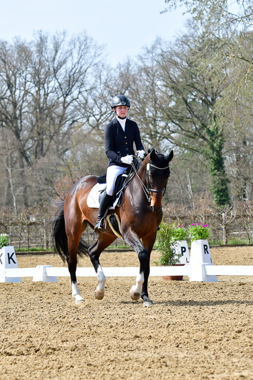 Reitsportzentrum Bremervörde | 170421 Dressur M+ _035 