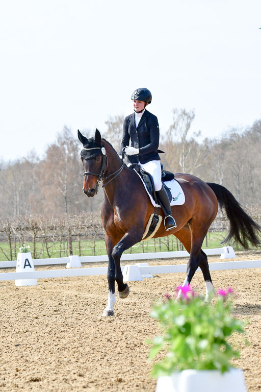 Reitsportzentrum Bremervörde | 170421 Dressur M+ _038 