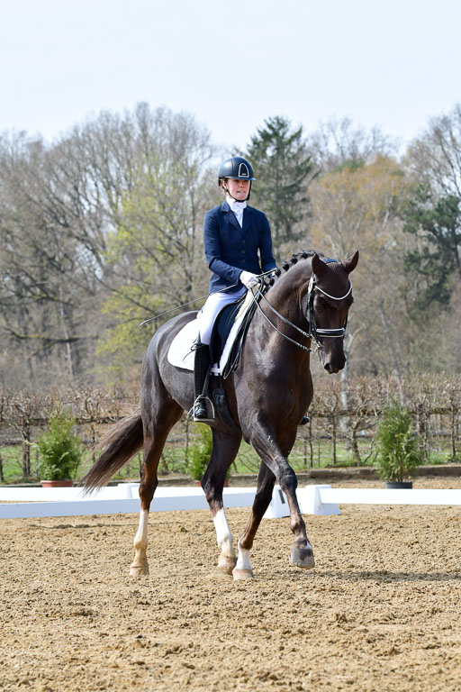 Reitsportzentrum Bremervörde | 170421 Dressur M+ _040 