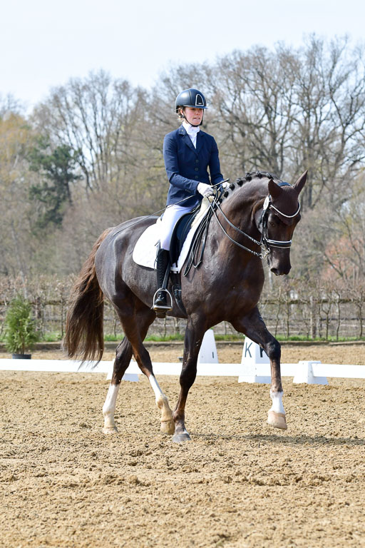 Reitsportzentrum Bremervörde | 170421 Dressur M+ _041 