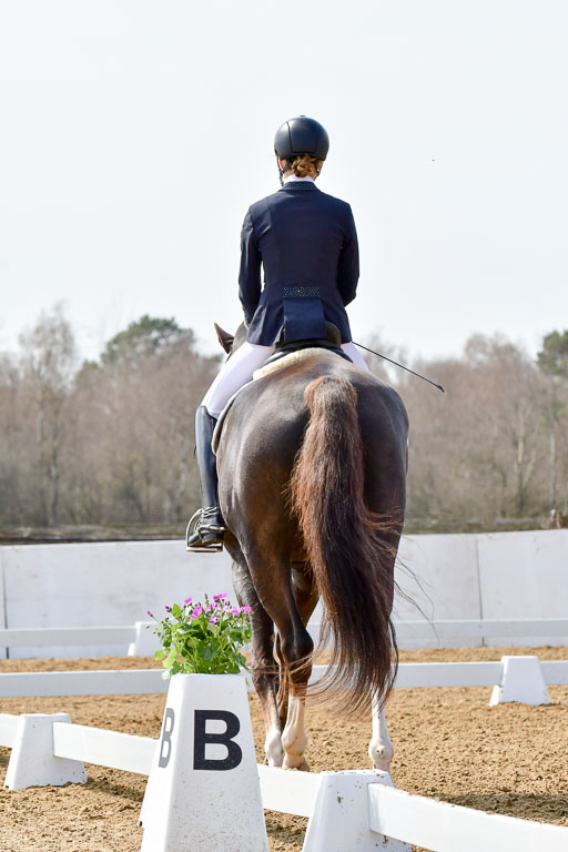 Reitsportzentrum Bremervörde | 170421 Dressur M+ _042 