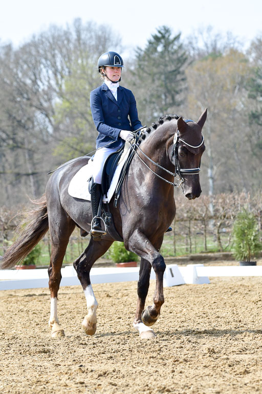 Reitsportzentrum Bremervörde | 170421 Dressur M+ _043 