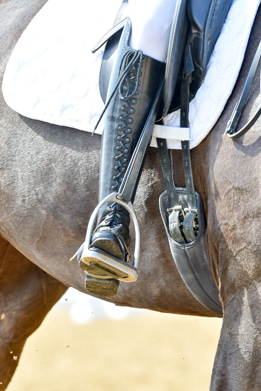 Reitsportzentrum Bremervörde | 170421 Dressur M+ _044 