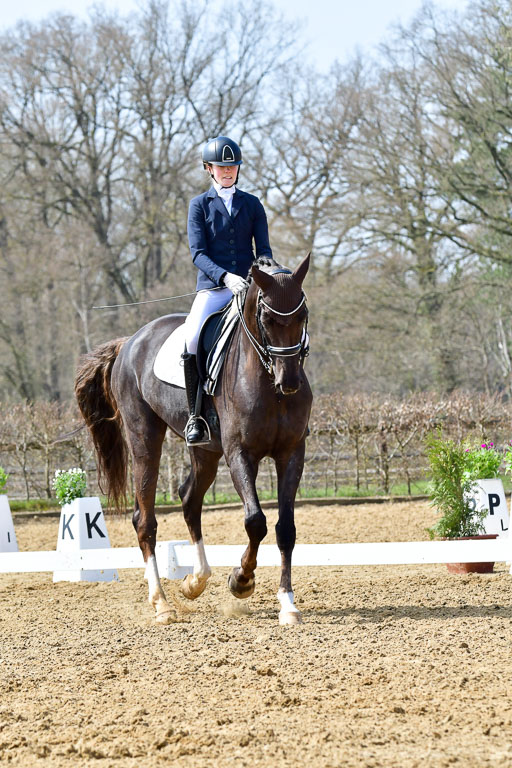 Reitsportzentrum Bremervörde | 170421 Dressur M+ _046 