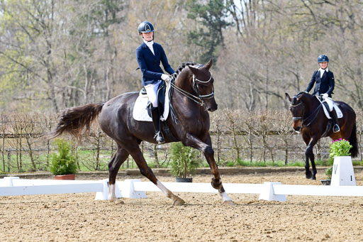 Reitsportzentrum Bremervörde | 170421 Dressur M+ _047 