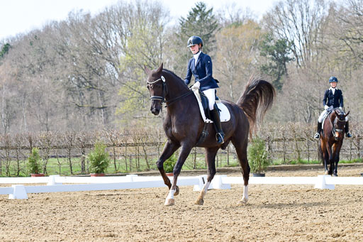 Reitsportzentrum Bremervörde | 170421 Dressur M+ _048 