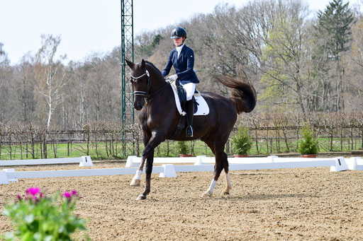 Reitsportzentrum Bremervörde | 170421 Dressur M+ _049 