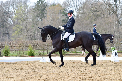 Reitsportzentrum Bremervörde | 170421 Dressur M+ _050 
