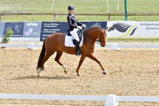 Reitsportzentrum Bremervörde | 170421 Dressur M+ _051 