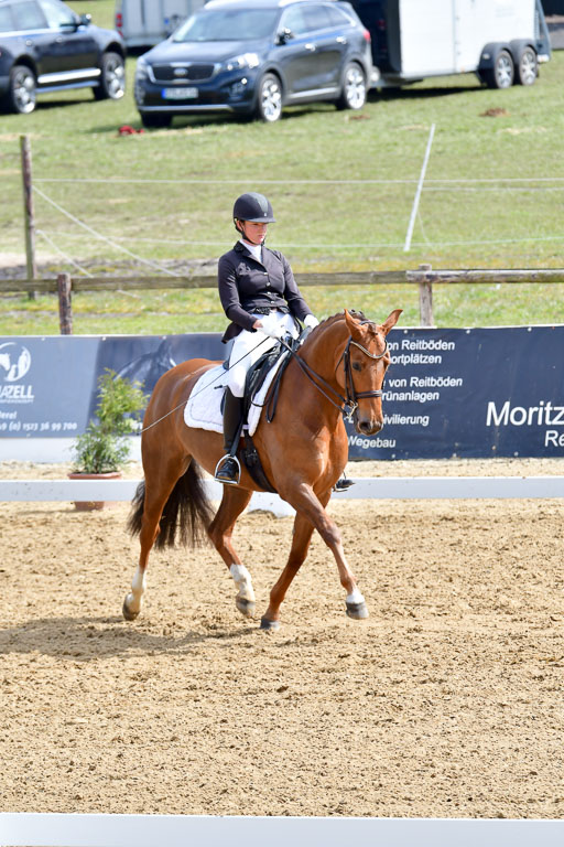 Reitsportzentrum Bremervörde | 170421 Dressur M+ _052 