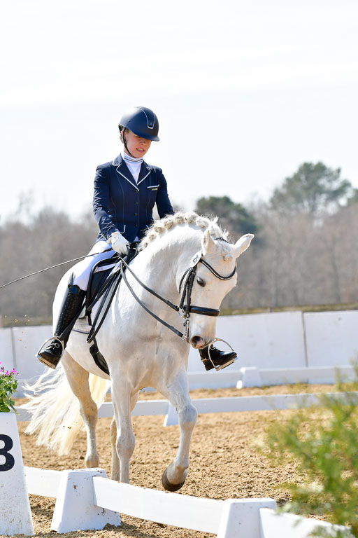 Reitsportzentrum Bremervörde | 170421 Dressur M+ _062 