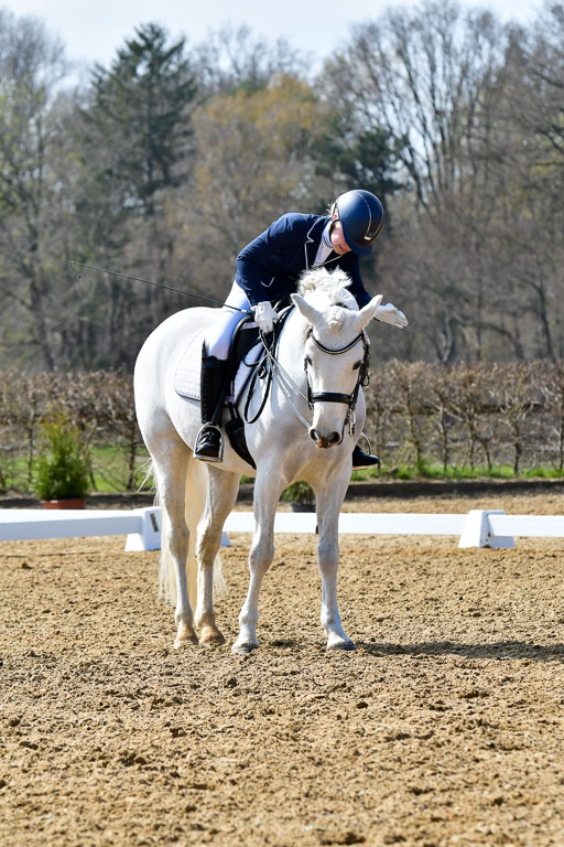 Reitsportzentrum Bremervörde | 170421 Dressur M+ _065 