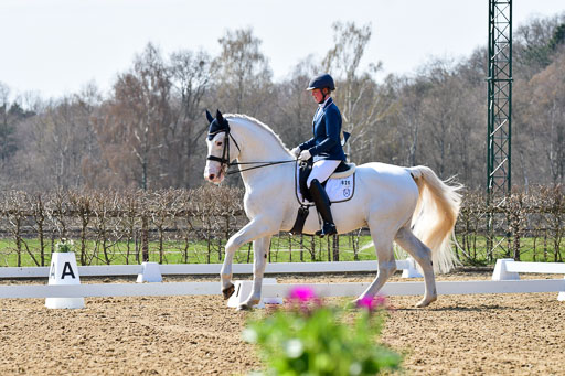 Reitsportzentrum Bremervörde | 170421 Dressur M+ _072 