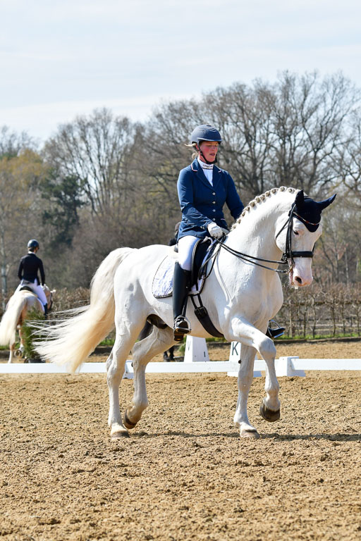 Reitsportzentrum Bremervörde | 170421 Dressur M+ _081 