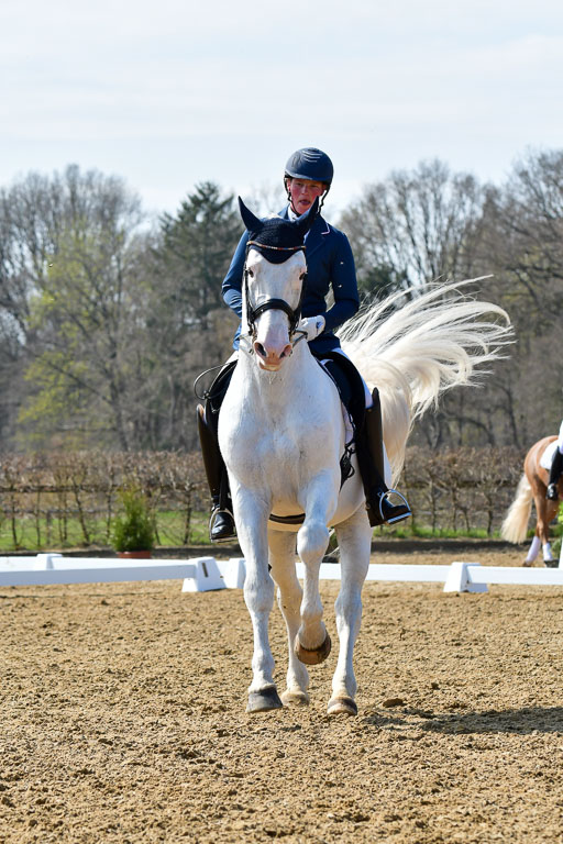 Reitsportzentrum Bremervörde | 170421 Dressur M+ _087 