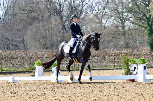 Reitsportzentrum Bremervörde | 170421 Dressur M+ _090 
