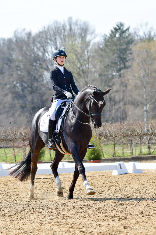 Reitsportzentrum Bremervörde | 170421 Dressur M+ _092 