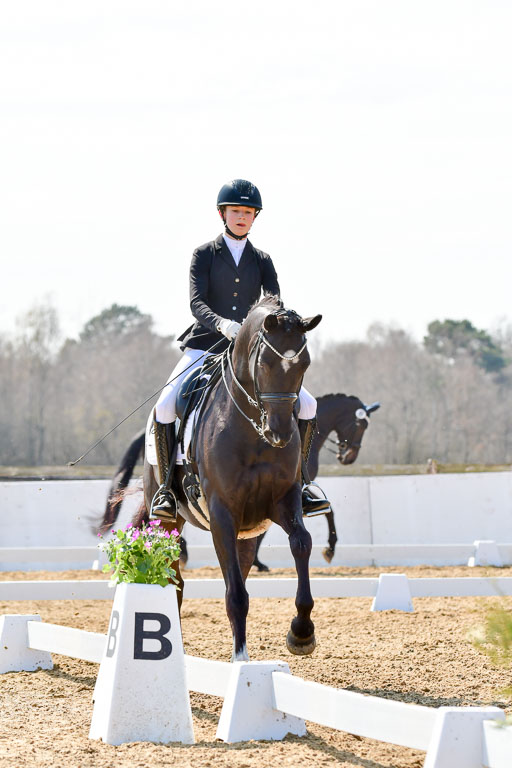 Reitsportzentrum Bremervörde | 170421 Dressur M+ _097 