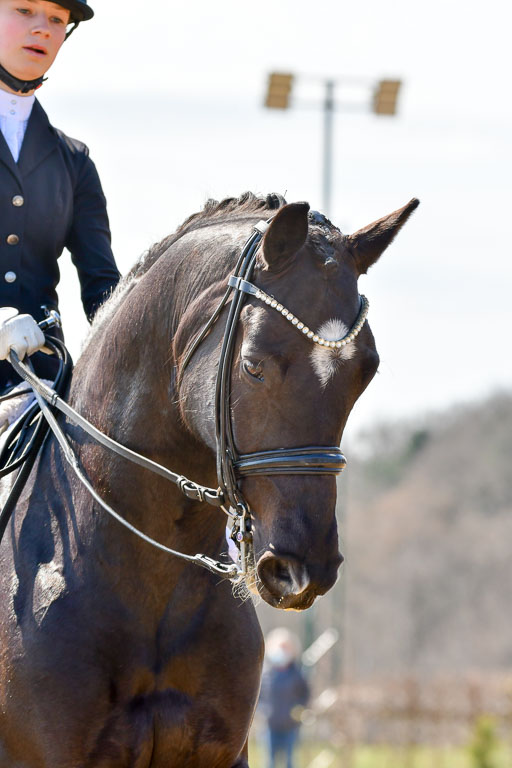 Reitsportzentrum Bremervörde | 170421 Dressur M+ _098 