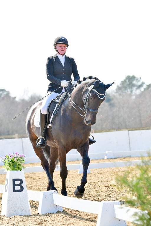 Reitsportzentrum Bremervörde | 170421 Dressur M+ _103 