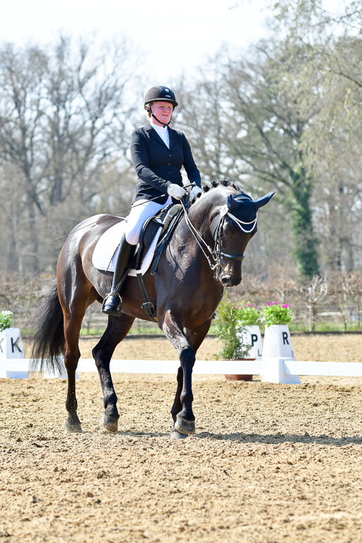 Reitsportzentrum Bremervörde | 170421 Dressur M+ _104 