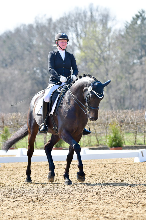 Reitsportzentrum Bremervörde | 170421 Dressur M+ _108 