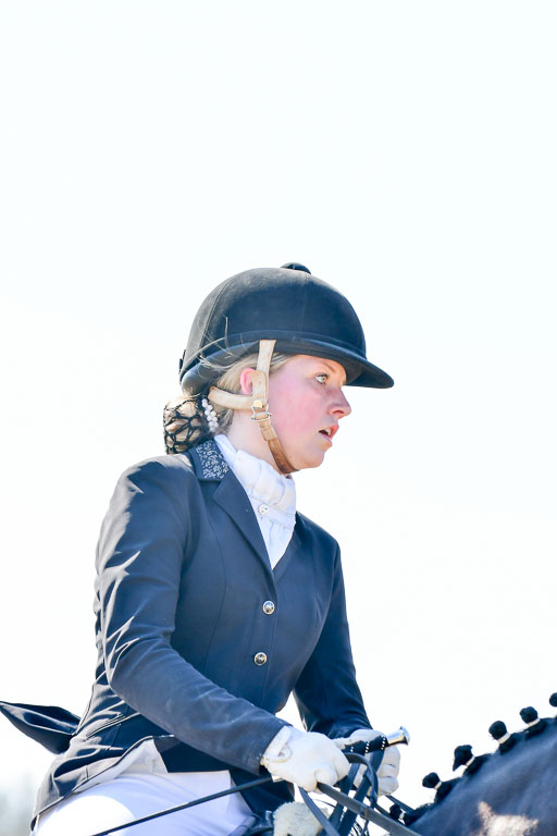 Reitsportzentrum Bremervörde | 170421 Dressur M+ _112 