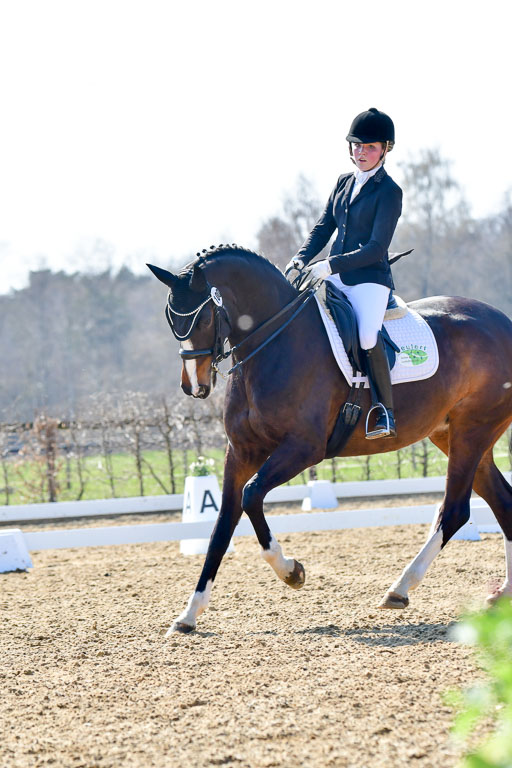 Reitsportzentrum Bremervörde | 170421 Dressur M+ _113 
