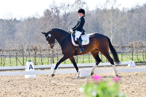 Reitsportzentrum Bremervörde | 170421 Dressur M+ _115 