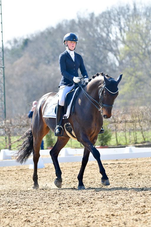 Reitsportzentrum Bremervörde | 170421 Dressur M+ _119 