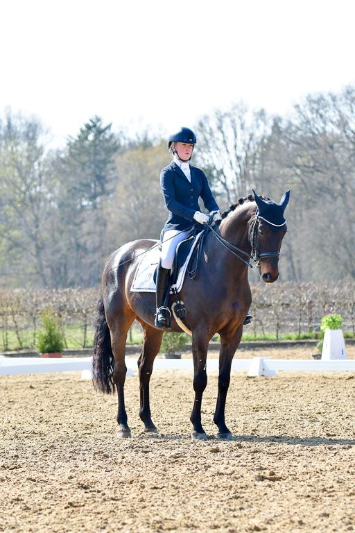 Reitsportzentrum Bremervörde | 170421 Dressur M+ _120 