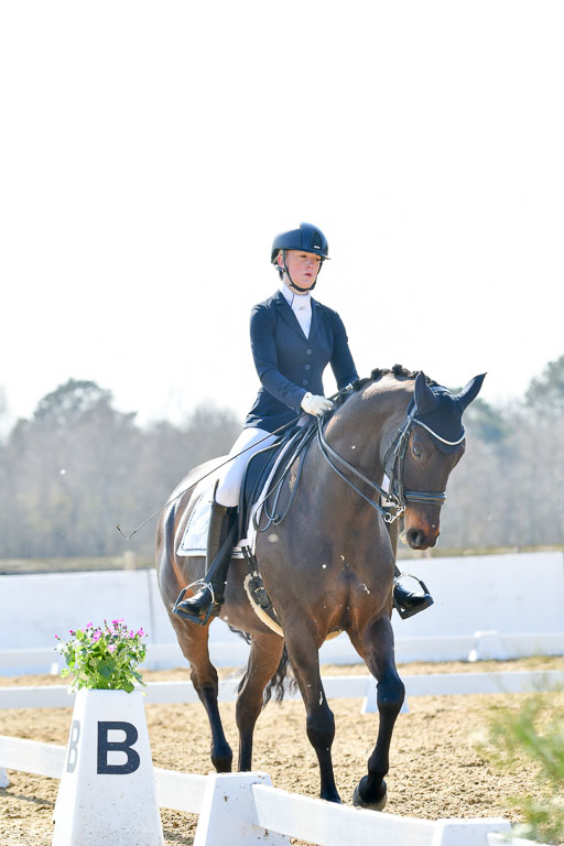 Reitsportzentrum Bremervörde | 170421 Dressur M+ _122 