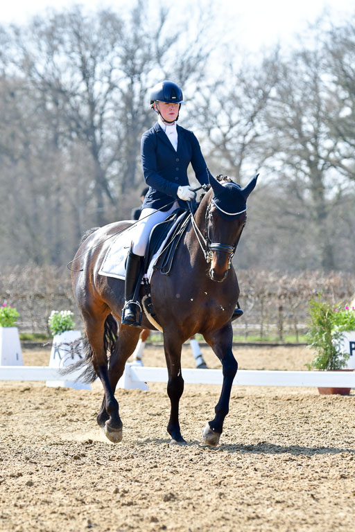 Reitsportzentrum Bremervörde | 170421 Dressur M+ _123 